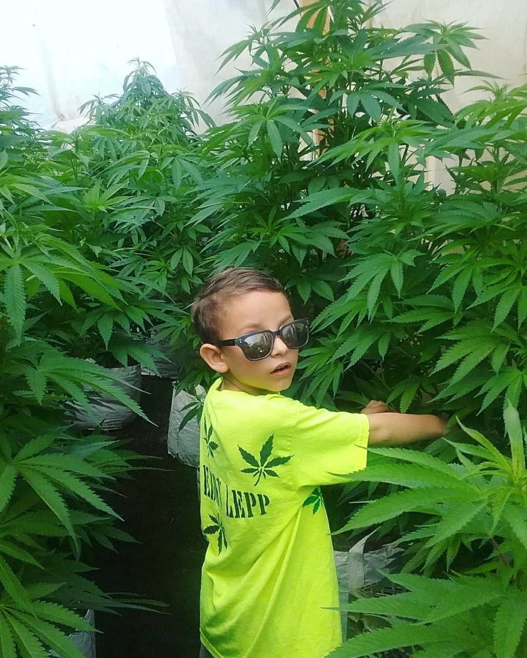 Illegally Healed- Utah We Want To Go HOME!